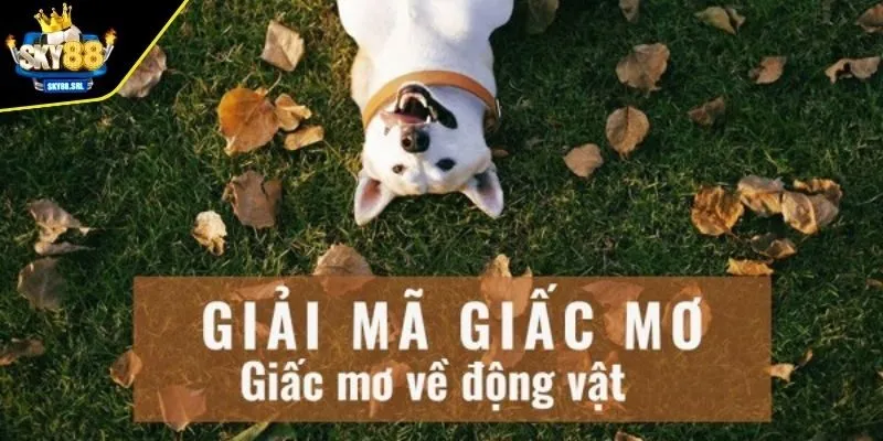 Giải mã giấc mơ động vật