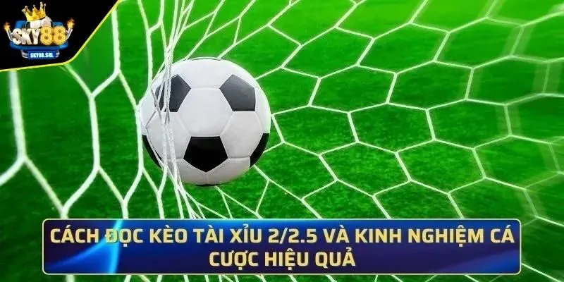 Giải thích chi tiết kèo tài xỉu 2/2.5